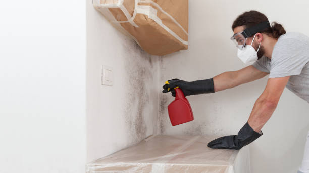 Professional Bathroom Mold Removal technician working in Yacolt, WA